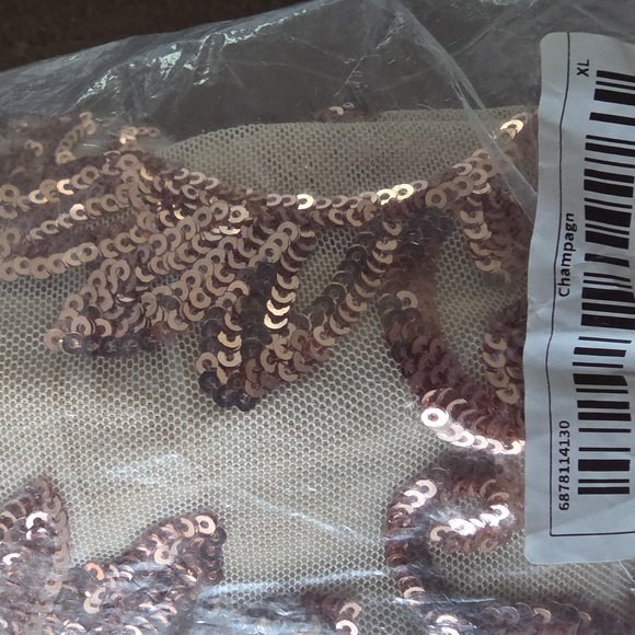 GLAMOROUS HIGH FASHION FORMAL CHAMPAGNE AND ROSE GOLD GOWN - Picture 12 of 12